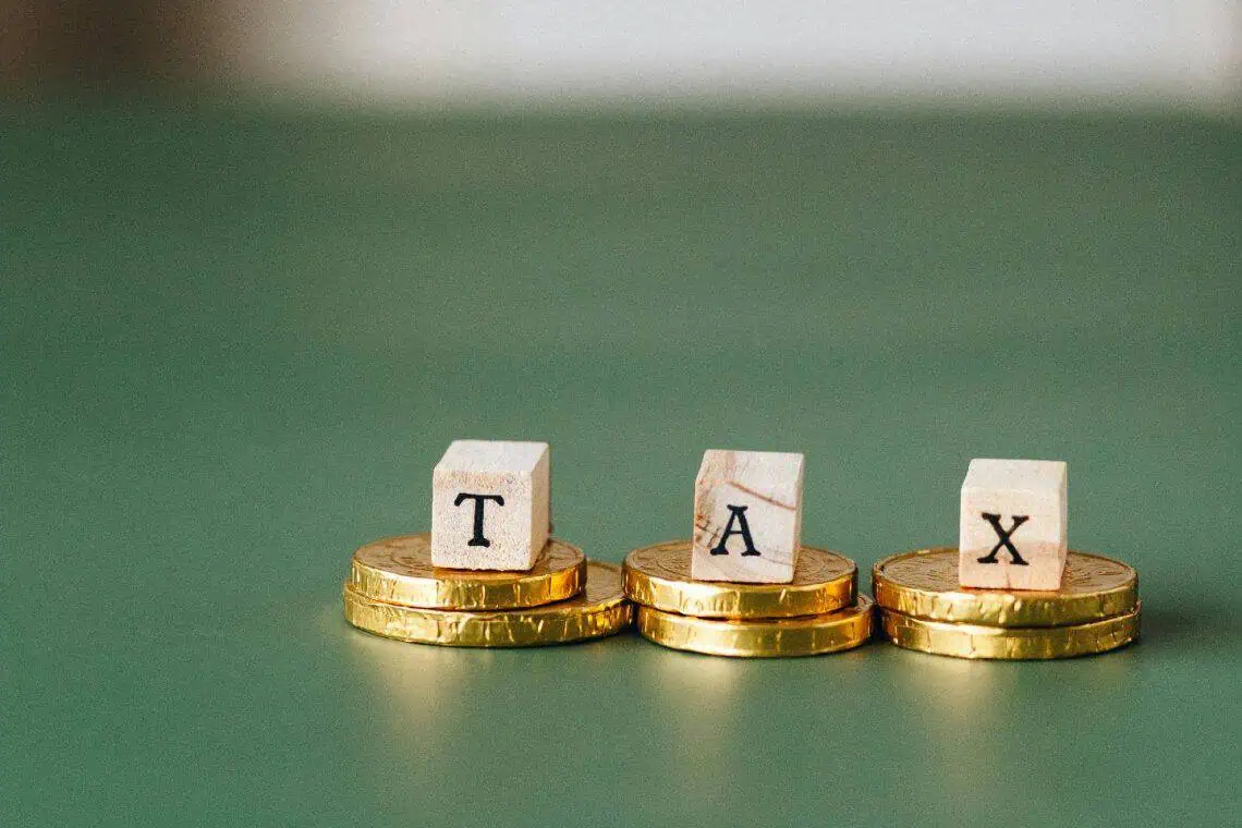 South Africa's Tax Crisis: 1.5% Bear 61% Load