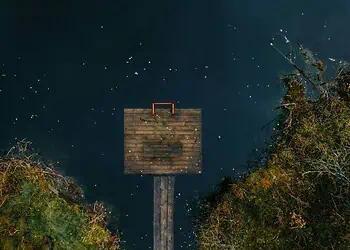 Weekly Astrology Report for 3 November - 9 November