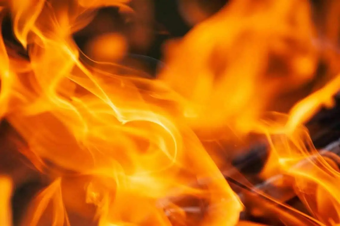 Blaze on the Vine Climate Flames Ravage Cape Winelands