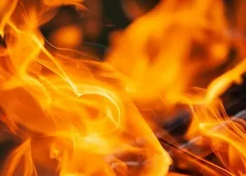 Blaze on the Vine Climate Flames Ravage Cape Winelands