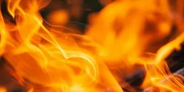 Blaze on the Vine Climate Flames Ravage Cape Winelands
