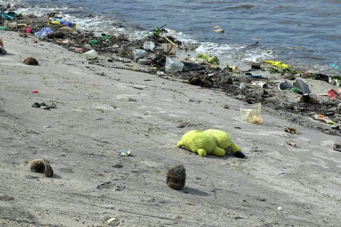 Cape Town Beaches Safe or Sewage Risk