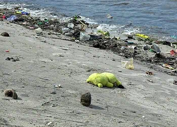 Cape Town Beaches Safe or Sewage Risk