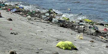 Cape Town Beaches Safe or Sewage Risk