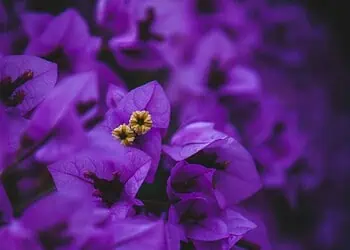 Horoscope for 2 December