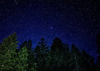 Horoscope for 6 December