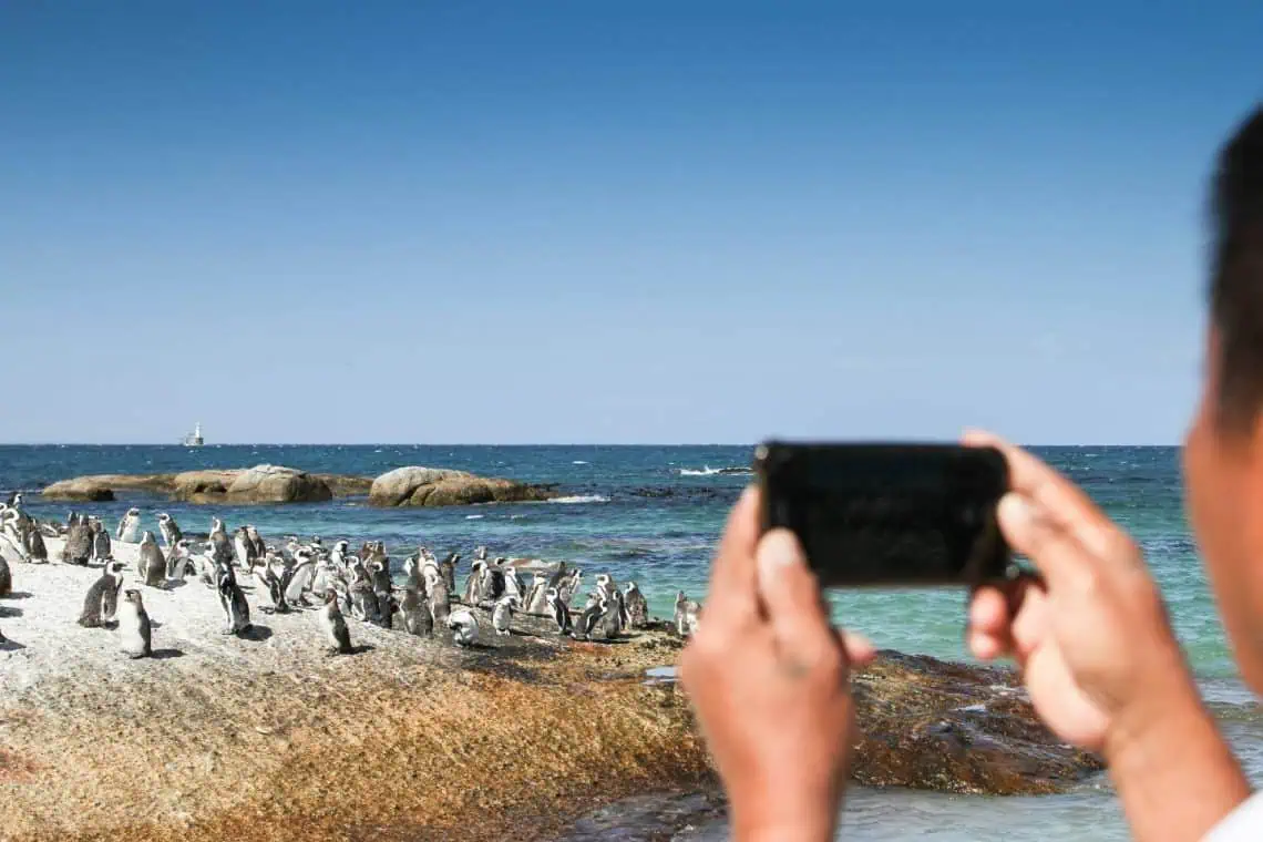 SAs Tourism Boom Ignites 14-Year High Confidence - Saffarazzi SAs Tourism Boom Ignites 14-Year High Confidence