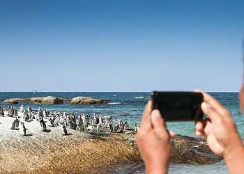 SAs Tourism Boom Ignites 14-Year High Confidence