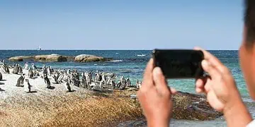 SAs Tourism Boom Ignites 14-Year High Confidence