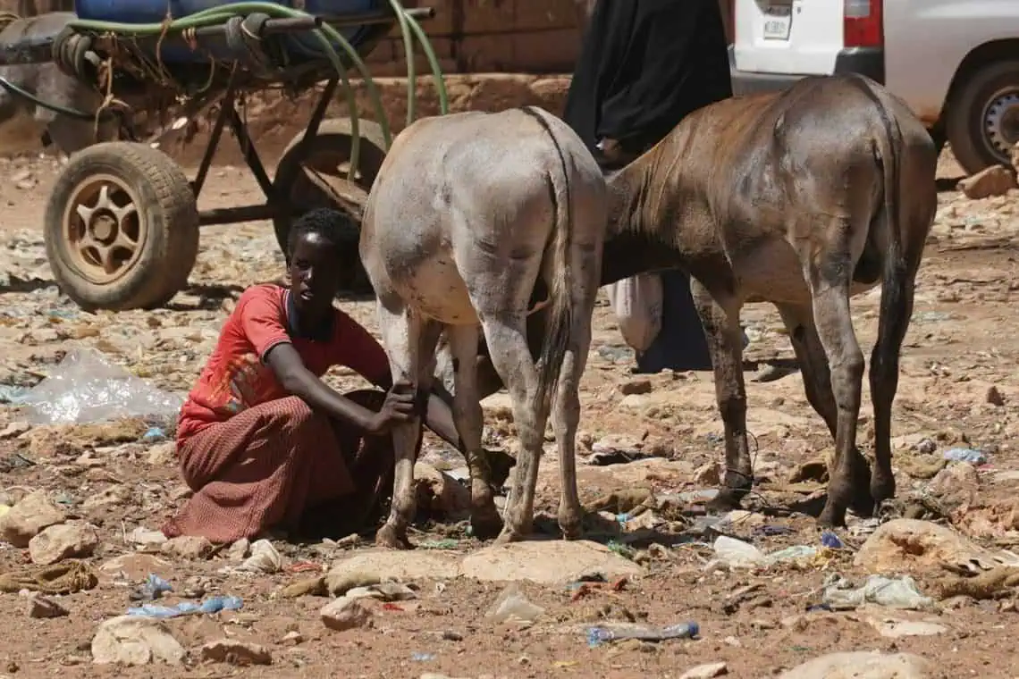 Somalias Famine Crisis Donate for Urgent Aid