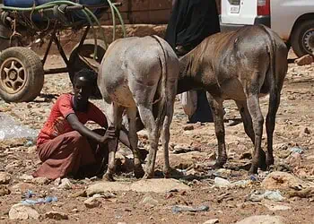 Somalias Famine Crisis Donate for Urgent Aid