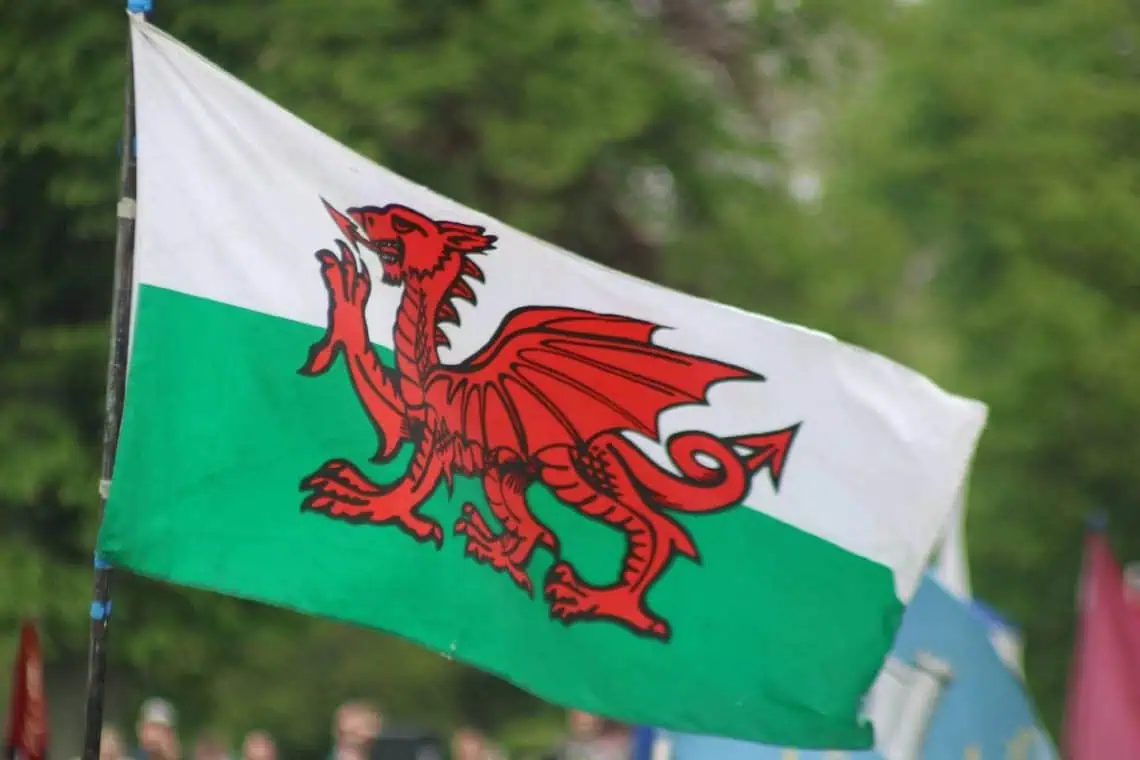 Springboks Crush Wales 73-0
