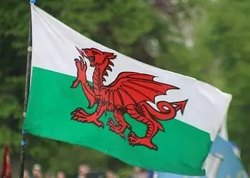 Springboks Crush Wales 73-0
