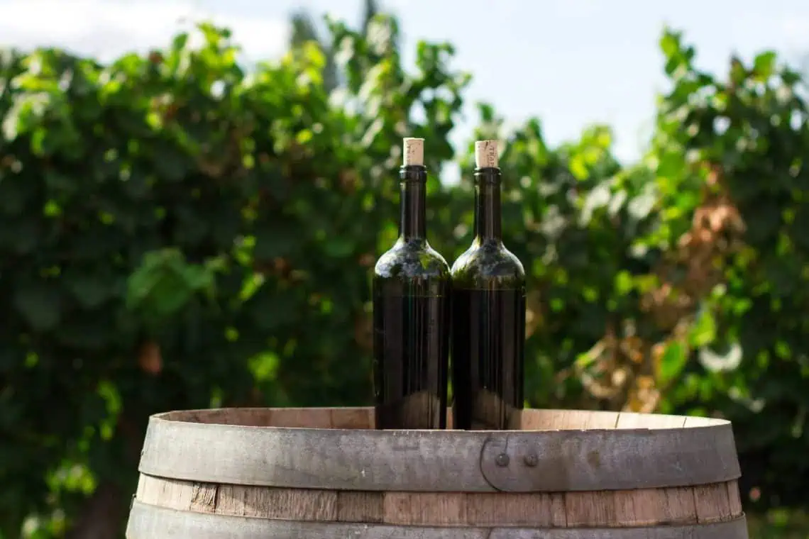 Tariff Shock Hits SA Wine and Citrus