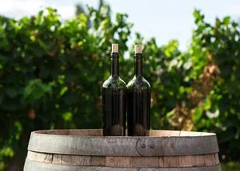 Tariff Shock Hits SA Wine and Citrus
