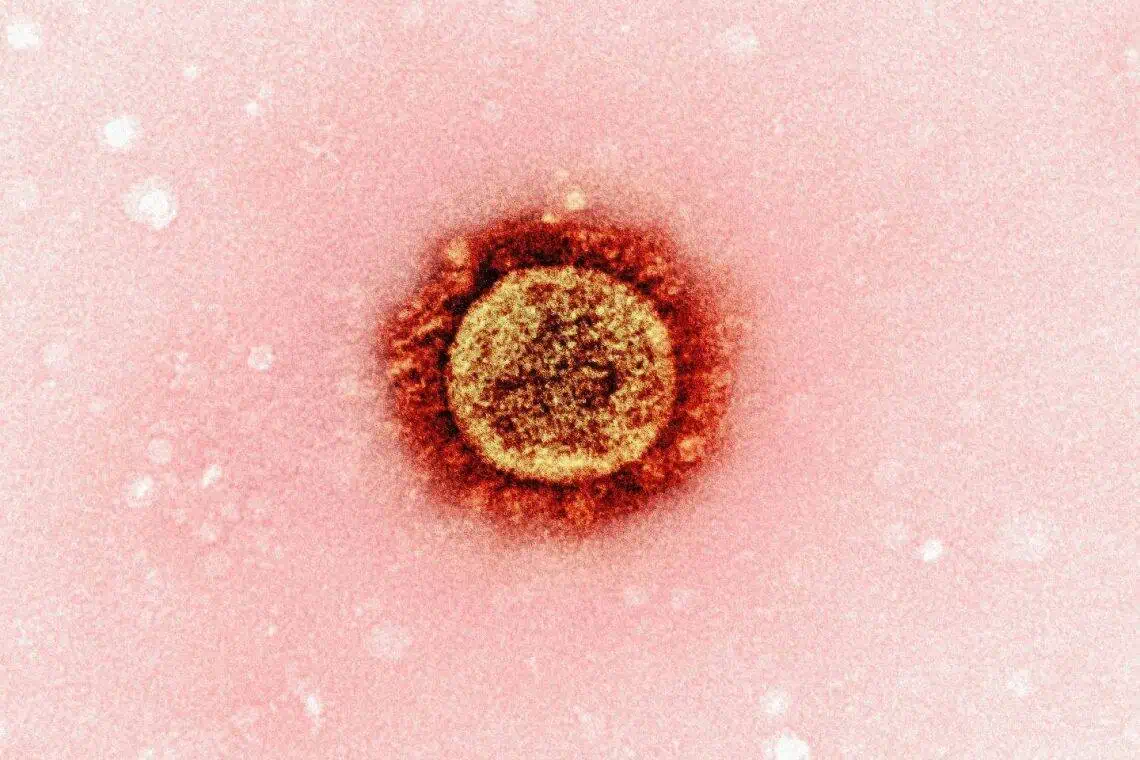 Western Cape Measles Surge Vaccinate Now