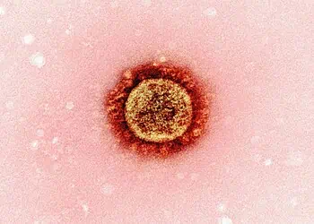 Western Cape Measles Surge Vaccinate Now