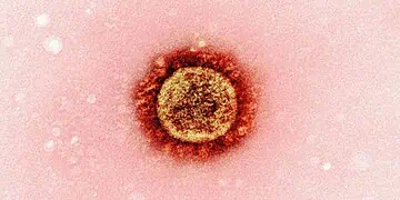 Western Cape Measles Surge Vaccinate Now