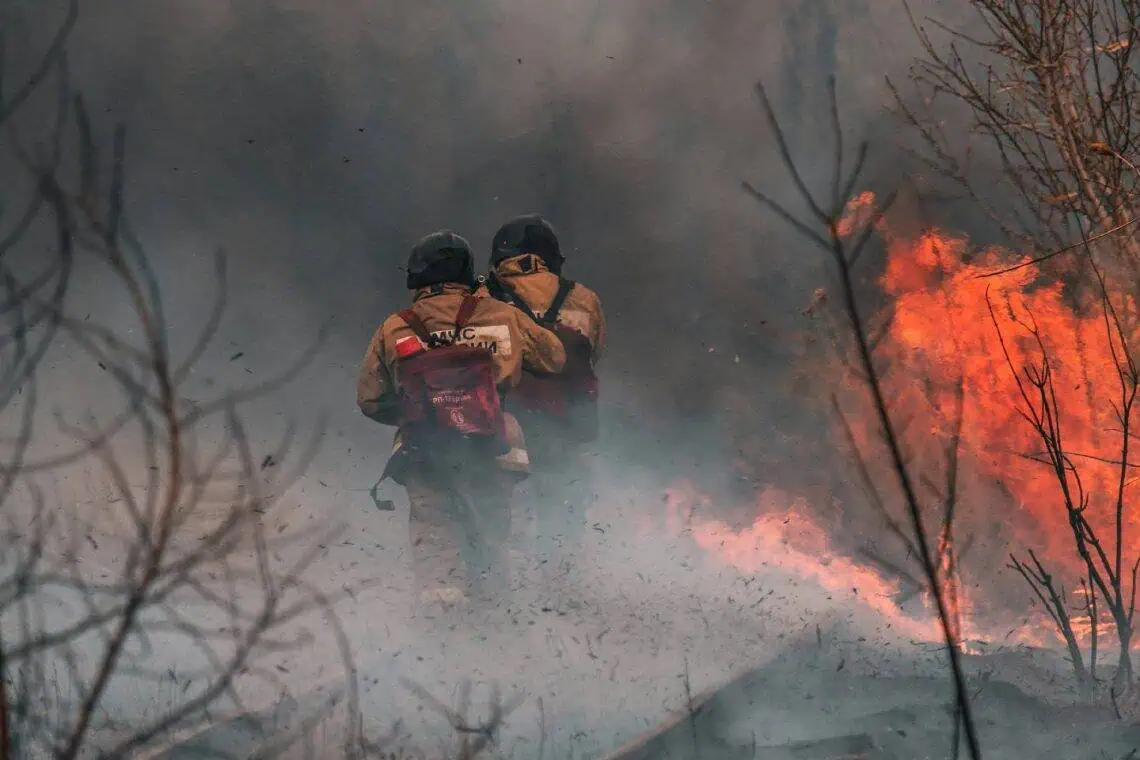 Western Cape Wildfires Threaten Iconic Vineyards