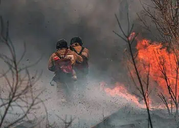 Western Cape Wildfires Threaten Iconic Vineyards
