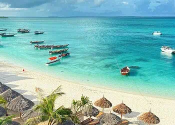 Zanzibar Africas Eco-Paradise for SA Wanderers