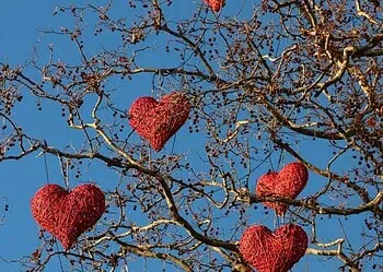 Horoscopes and Lucky Numbers for 12 Fwebruary