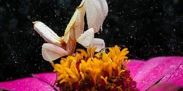 Horoscopes and Lucky Numbers for 21 February