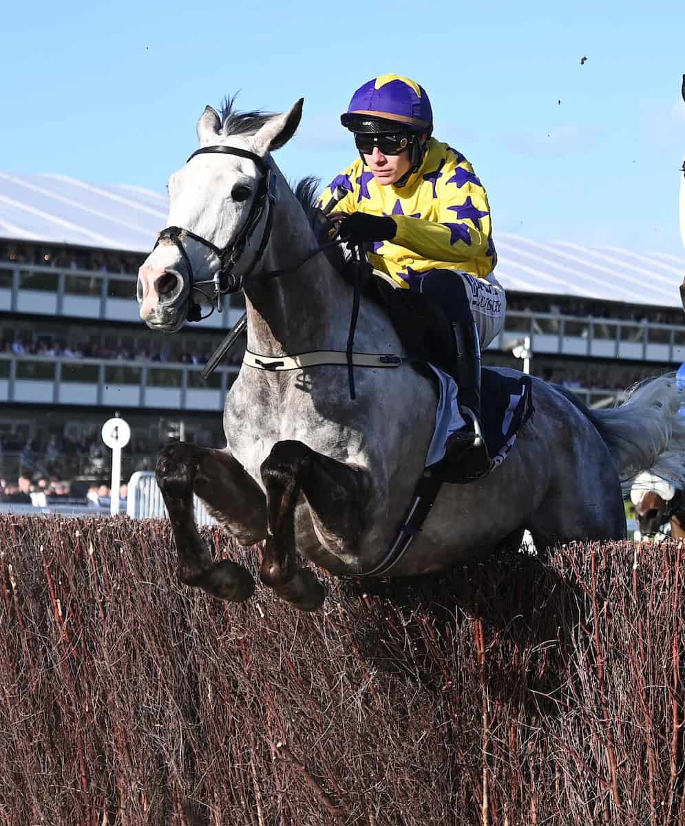 Il Etait Temps Cheltenham 10 - Saffarazzi Il Etait Temps Cheltenham 10