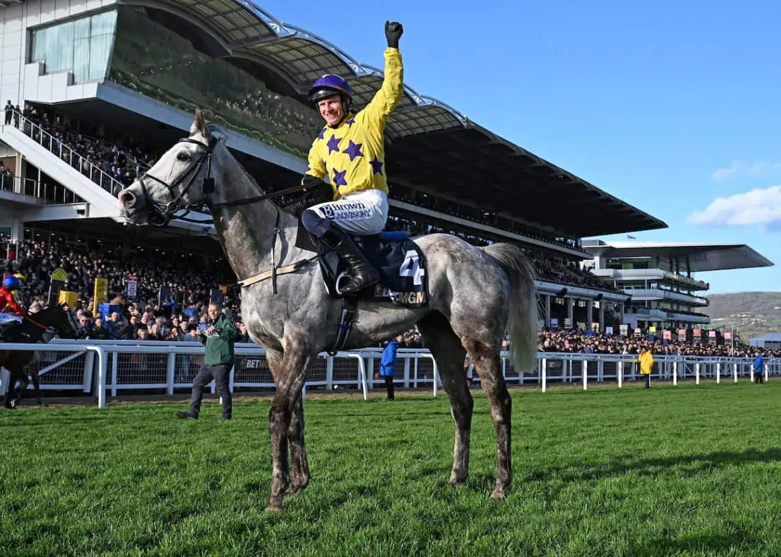 Il Etait Temps Cheltenham f19 - Saffarazzi SA Flag Flies High At World-Renowned Cheltenham Festival