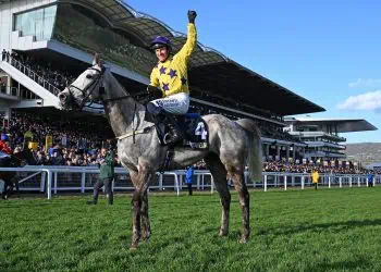 SA Flag Flies High At World-Renowned Cheltenham Festival