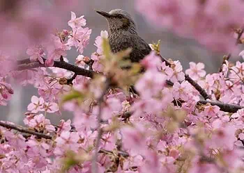 Horoscopes and Lucky Numbers for 16 March