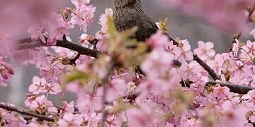 Horoscopes and Lucky Numbers for 16 March