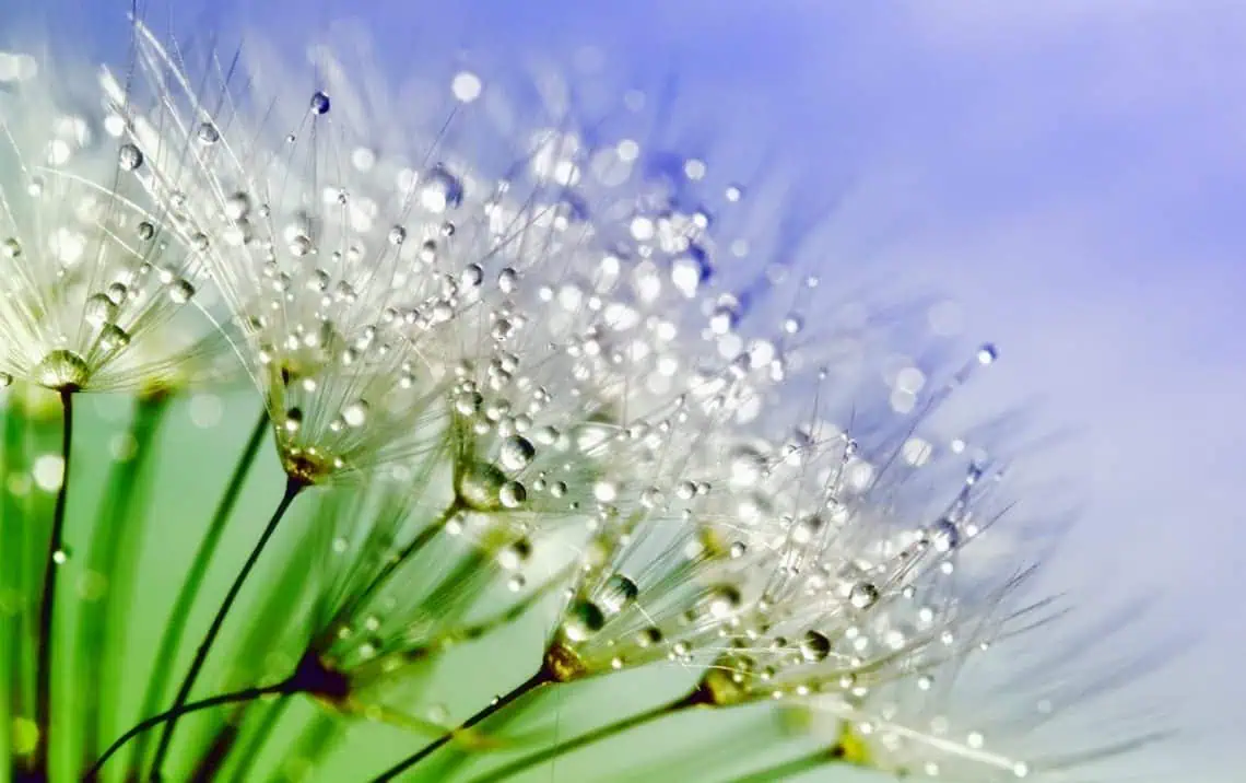 Horoscopes and Lucky Numbers for 3 March - Saffarazzi Horoscopes and Lucky Numbers for 3 March