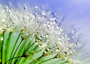Horoscopes and Lucky Numbers for 3 March