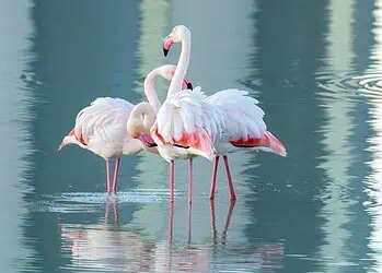 Horoscopes and Lucky Numbers for 19 March