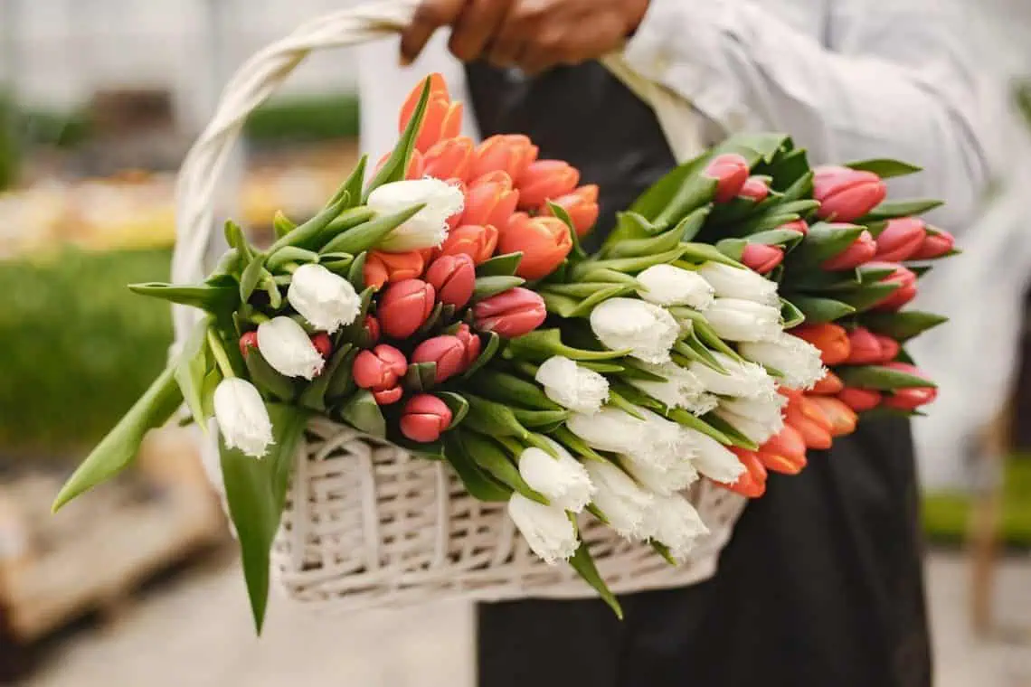 Horoscopes and Lucky Numbers for 14 April - Saffarazzi Horoscopes and Lucky Numbers for 14 April