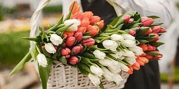 Horoscopes and Lucky Numbers for 14 April