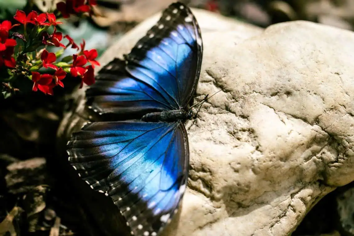 Horoscopes and Lucky Numbers for25 April - Saffarazzi Horoscopes and Lucky Numbers for25 April