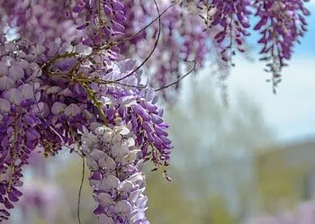 Horoscopes and Lucky Numbers for 29 May