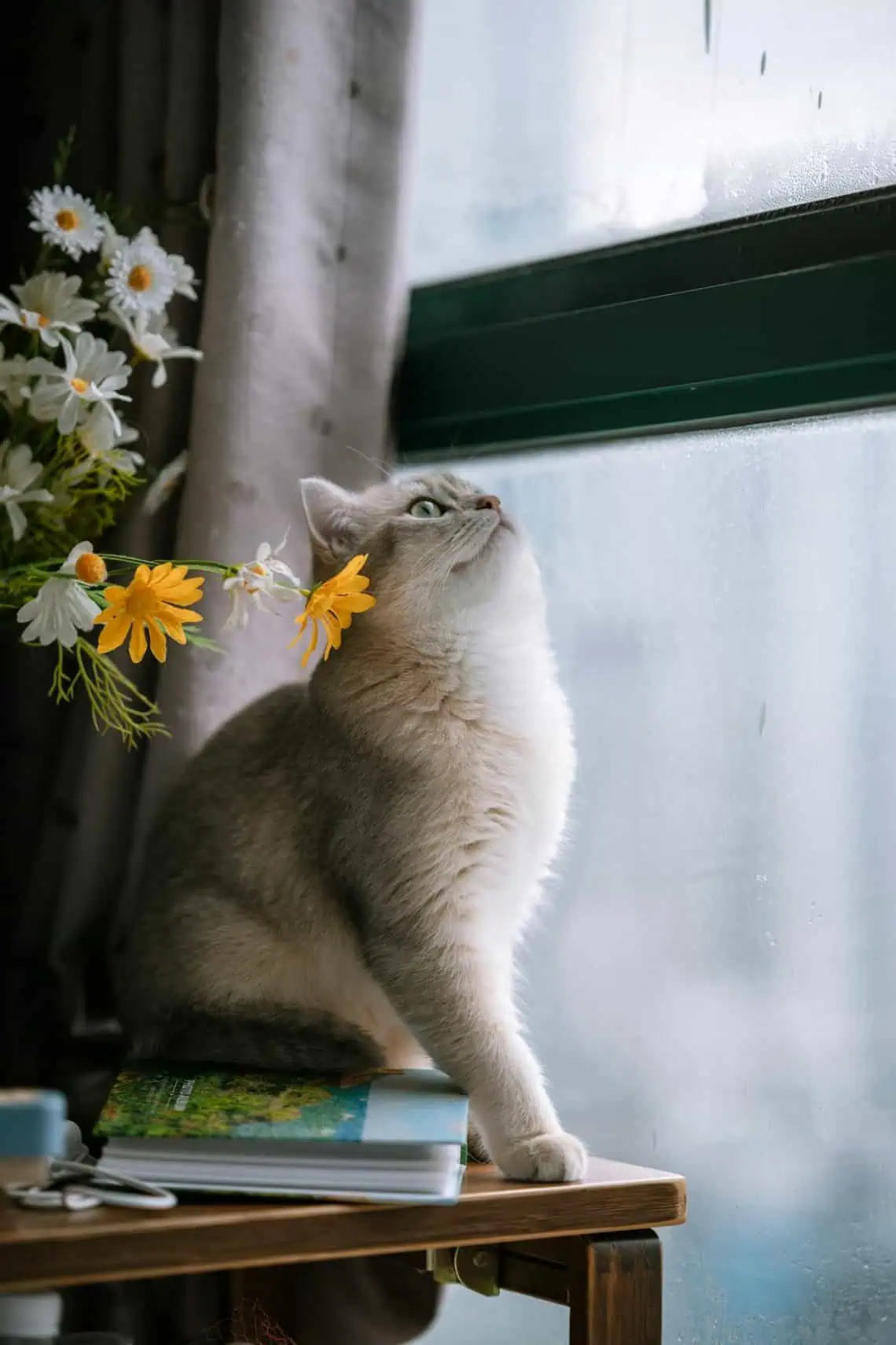 Horoscopes and Lucky Numbers for 7 May - Saffarazzi Horoscopes and Lucky Numbers for 7 May