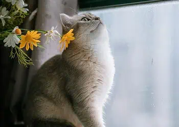 Horoscopes and Lucky Numbers for 7 May