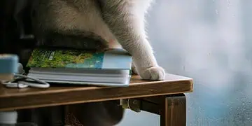 Horoscopes and Lucky Numbers for 7 May