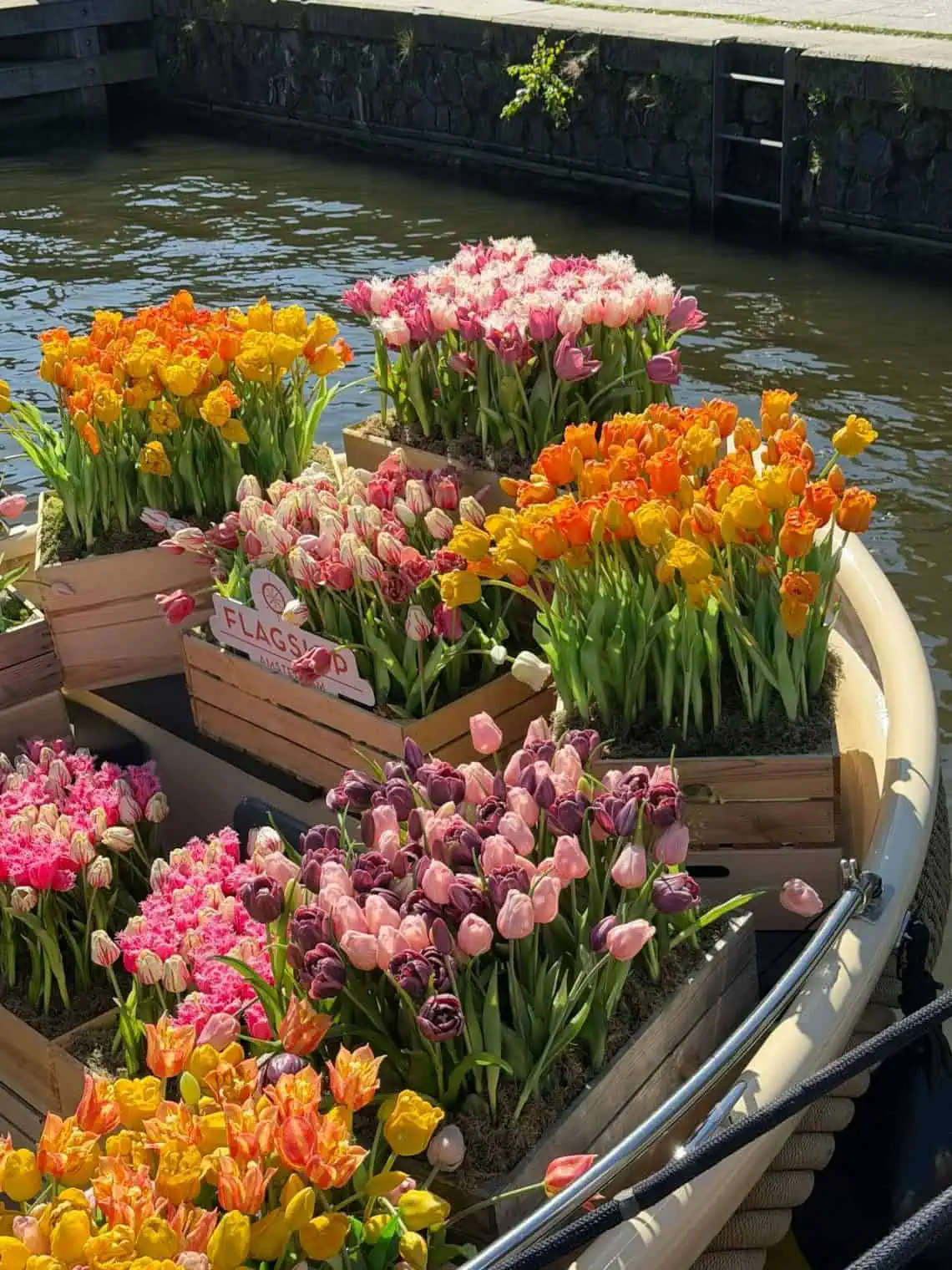 Horoscopes and Lucky Numbers for 5 May - Saffarazzi Horoscopes and Lucky Numbers for 5 May
