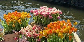 Horoscopes and Lucky Numbers for 5 May