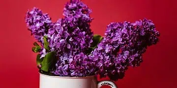 Horoscopes and Lucky Numbers for 10 May