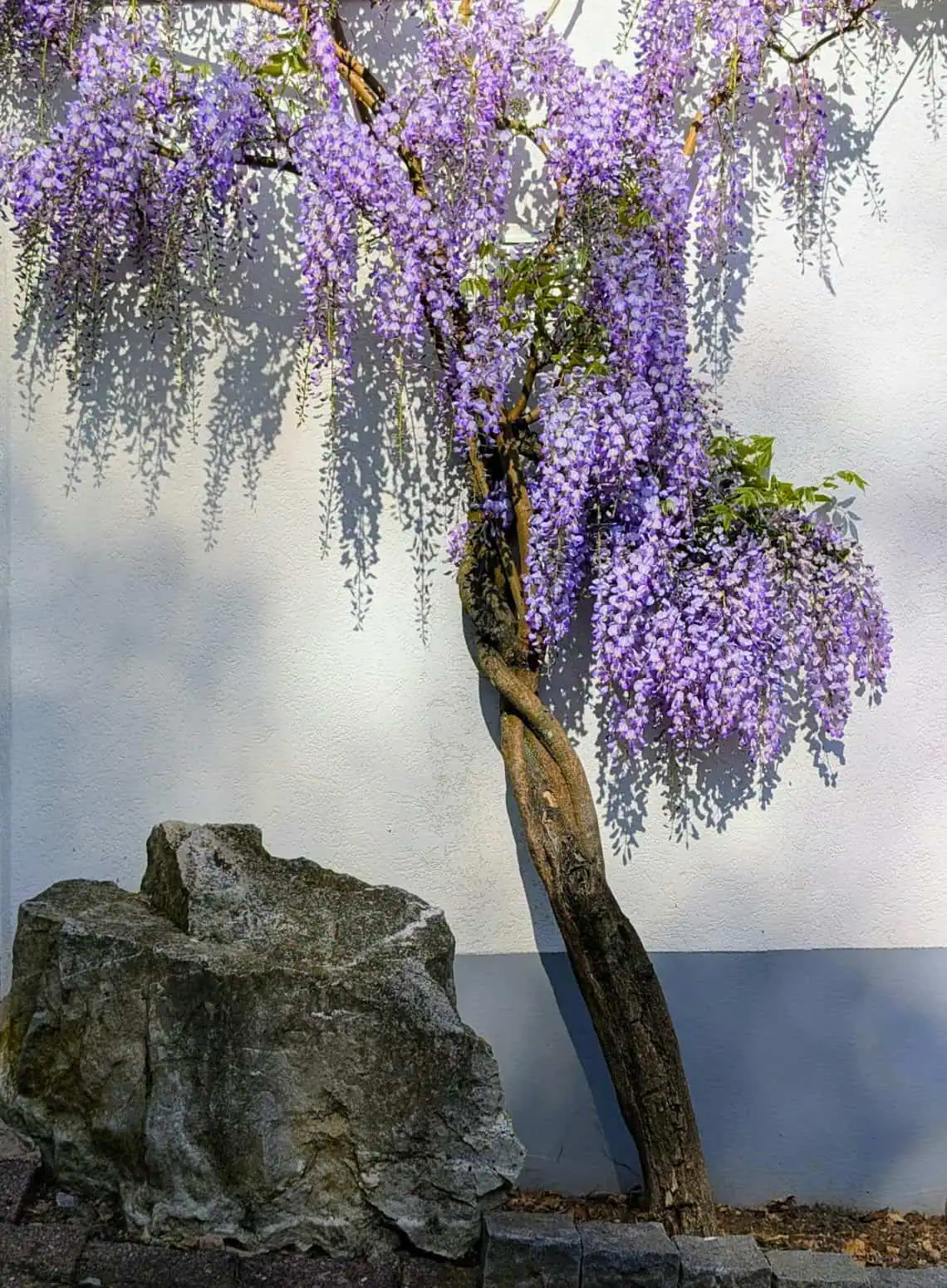 Horoscopes and Lucky Numbers for 13 May - Saffarazzi Horoscopes and Lucky Numbers for 13 May