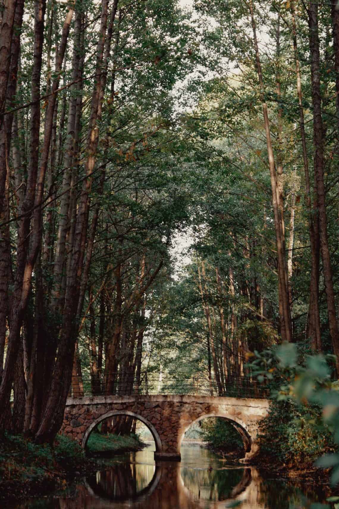 pexels-pauline-raw-131148428-10379011 - Saffarazzi Stone arch bridge across a narrow, calm canal in a dense forest, its reflection visible in the water.