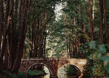 Stone arch bridge across a narrow, calm canal in a dense forest, its reflection visible in the water.