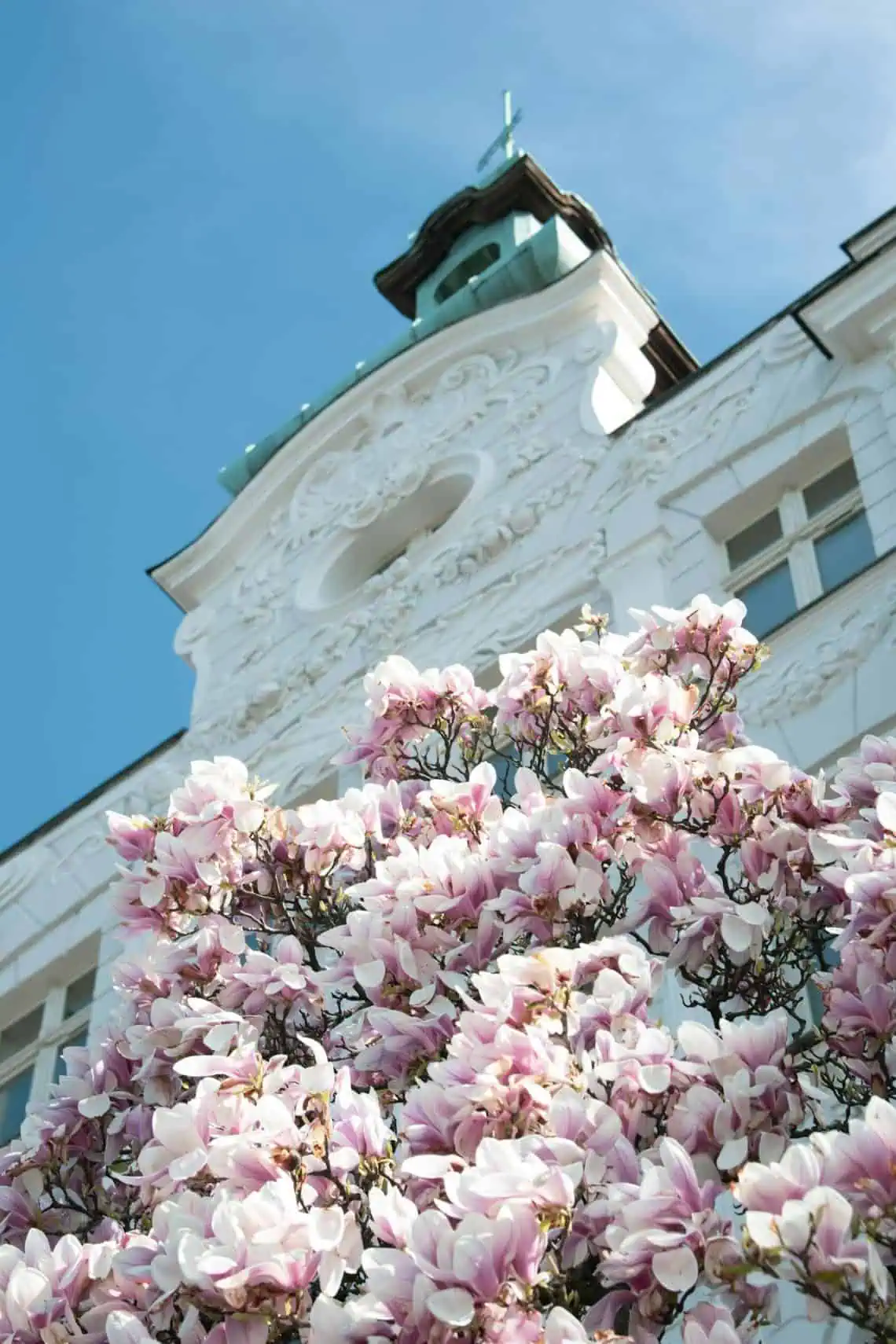 Horoscopes and Lucky Numbers for 1 June - Saffarazzi Horoscopes and Lucky Numbers for 1 June
