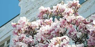 Horoscopes and Lucky Numbers for 1 June